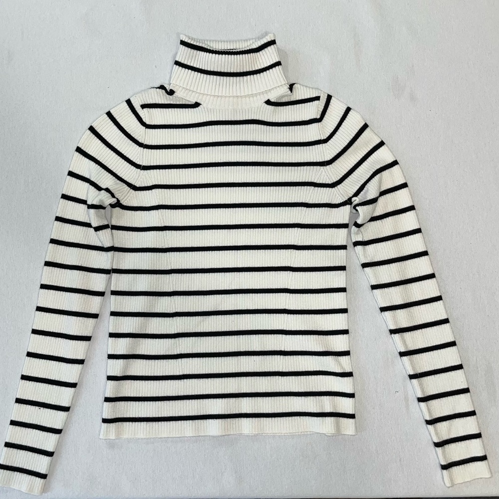 Black and White Striped Turtleneck from A New Day